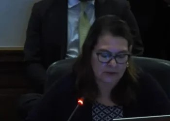 La representante de Colombia en la OEA/Captura de pantalla