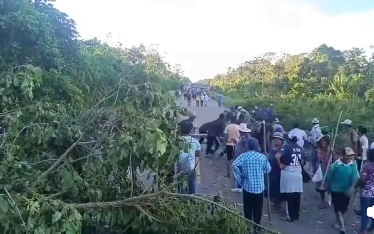 Bloqueos dejan a regiones de Beni sin alimentos y piden emergencia ...