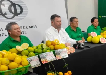 Conferencia de prensa del lanzamiento de la feria. Foto: CAO