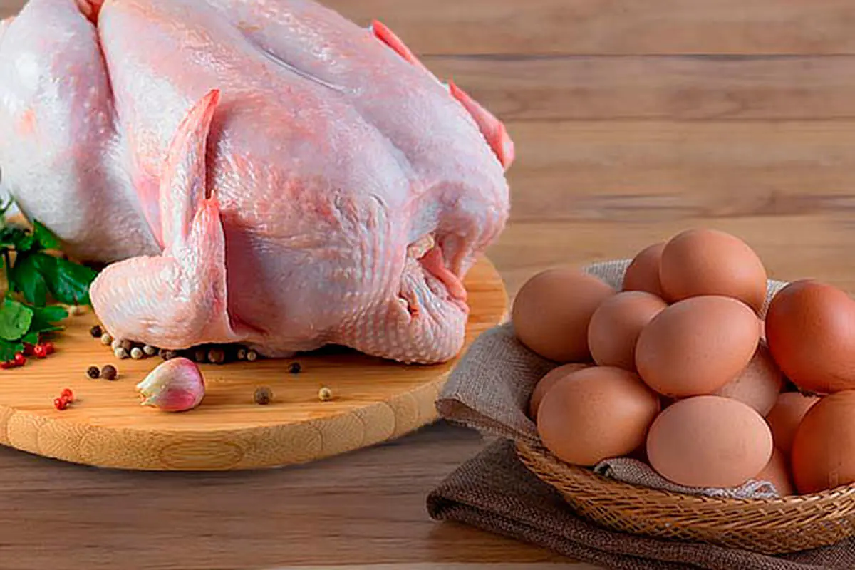 La carne de pollo y huevo para la exportación