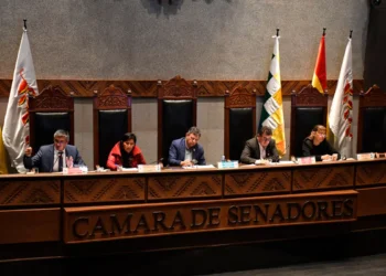 La 111ª Sesión Ordinaria con el ministro de Economía en sala. Foto: APG