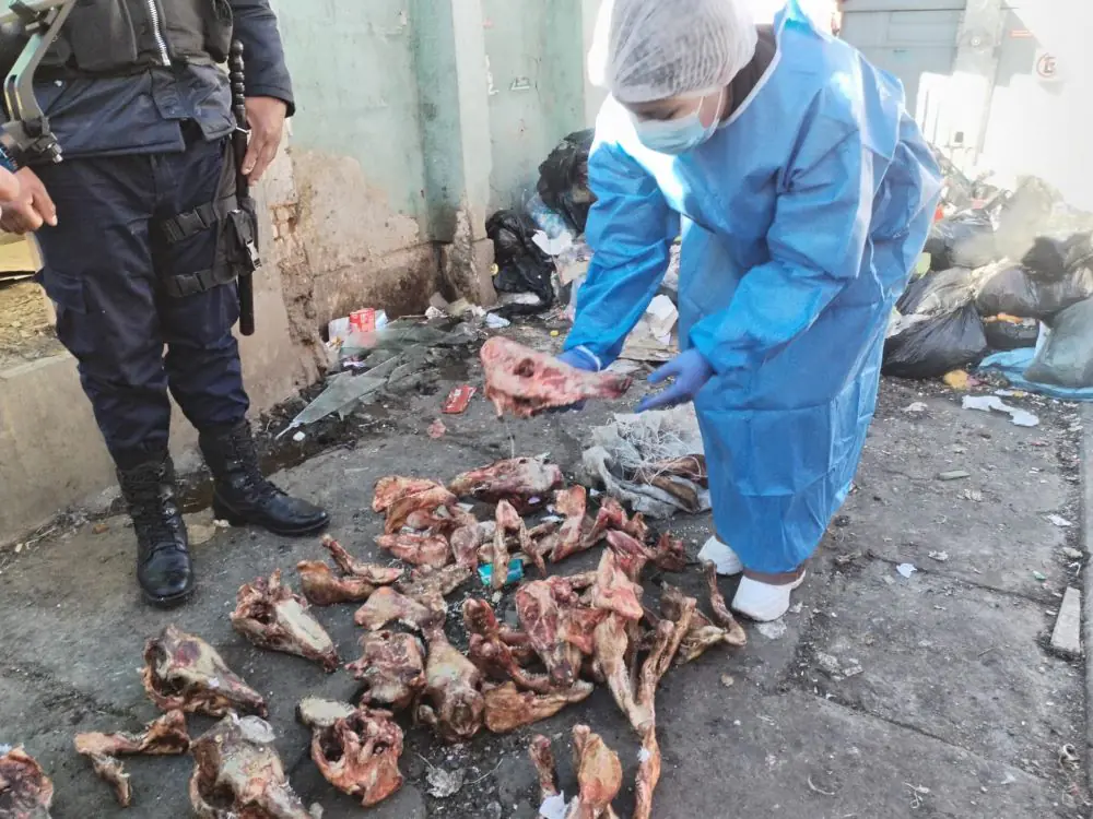 Vecinos de Río Seco hallaron restos óseos presuntamente de canes. FOTO: GAMEA