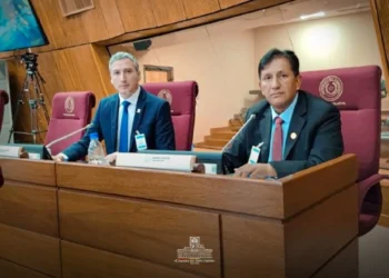 Sesión en Paraguay. Foto: Diputados