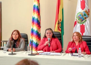 Una conferencia de prensa pasada de la ministra de Salud, Marcela Flores. FOTO: Ministerio de Salud