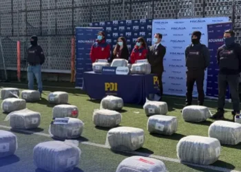 La droga hallada en el camión/PDI