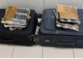 Las maletas tenían doble fondo/Policía Federal