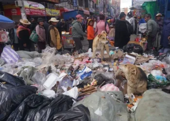 La acumulación de basura amenaza con una crisis sanitaria en La Paz y El Alto. FOTO: GAMEA