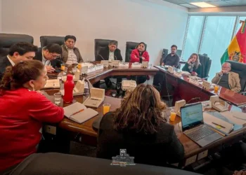 Una sesión de la Comisión de Constitución de la Cámara de Diputados.
Foto: Diputados