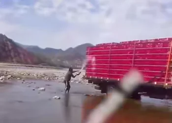Transportistas varados en bloqueos utilizan agua de charcos para mantener con vida a pollos. Foto: Captura.