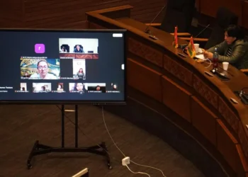 Sesión virtual de la Cámara de Diputados.
APG