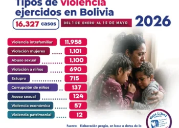 Cifras de casos de violencia denunciados en el país. Imagen Voces Libres