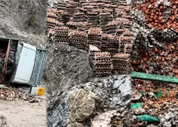 Camión que transportaba maples de huevos volcó durante su viaje a La Paz. Foto: Captura.