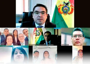 Foro virtual en el que participaron autoridades de Perú y Bolivia. Foto: Viceministerio de Políticas de Industrialización