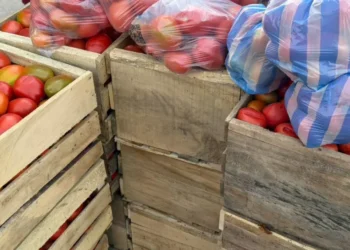 Se realiza un feria en el Cambodromo/Captura Unitel