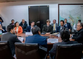 La reunión de ministro de Minería y empresarios franceses. Foto: Ministerio de Minería y Metalurgia