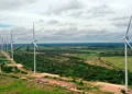 Parques eólicos en el oriente. Foto: ENDE