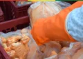 pollo