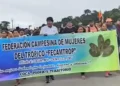 Evo encabeza la columna de marchistas/Captura de pantalla