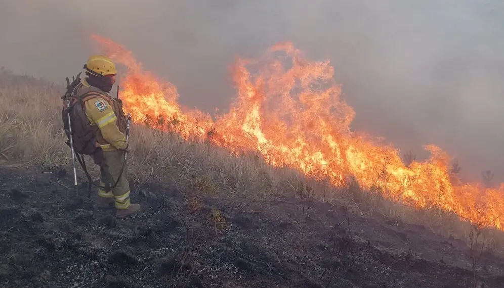 Los equipos de emergencia reaccionan antes que el fuego se expanda/SERNAP