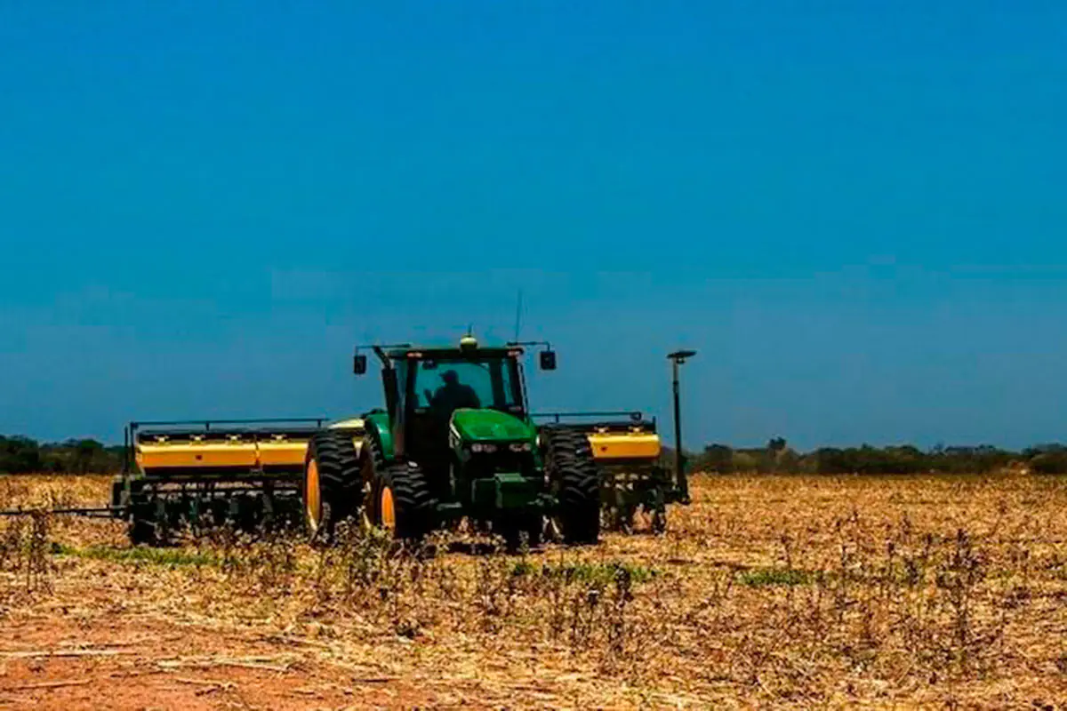 Monocultivos de soya. Foto: www.biodiversidad.la