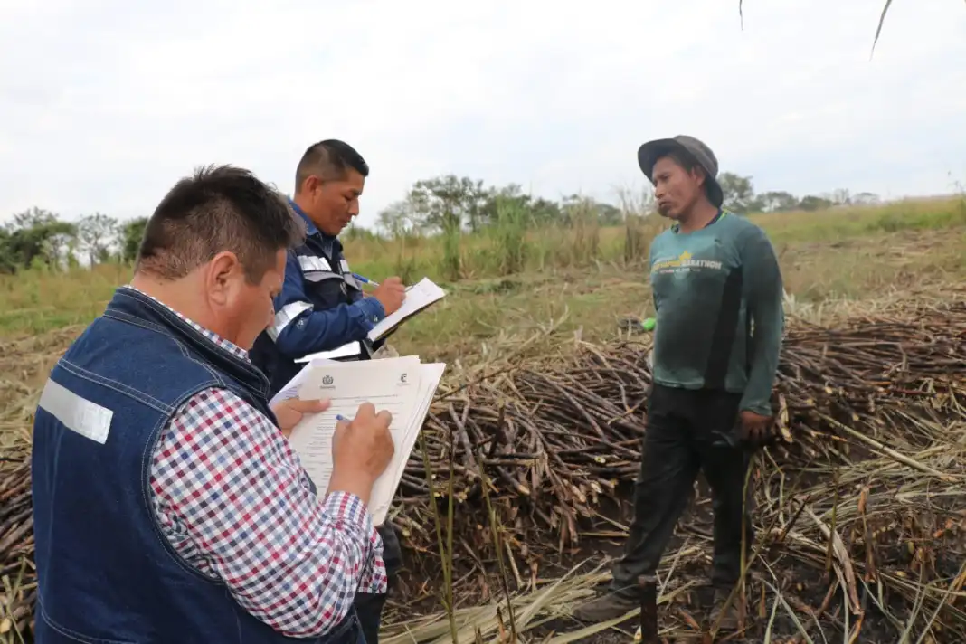 Estudio revela graves abusos laborales en la zafra de caña y castaña. FOTO: RRSS